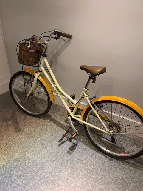 dawes lil duchess 24